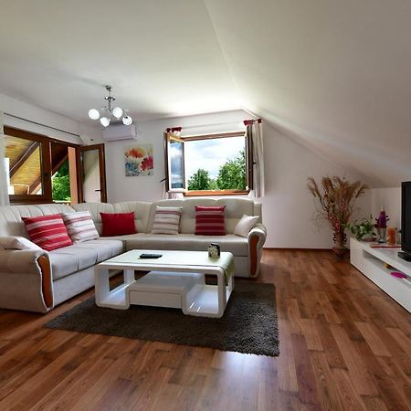 Apartman Jelena Rakovica Extérieur photo