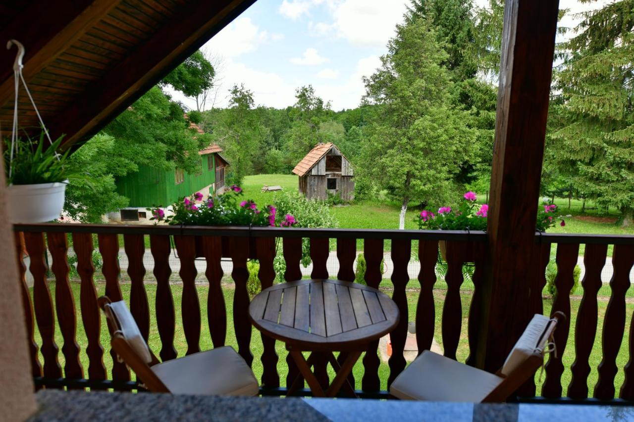 Apartman Jelena Rakovica Extérieur photo
