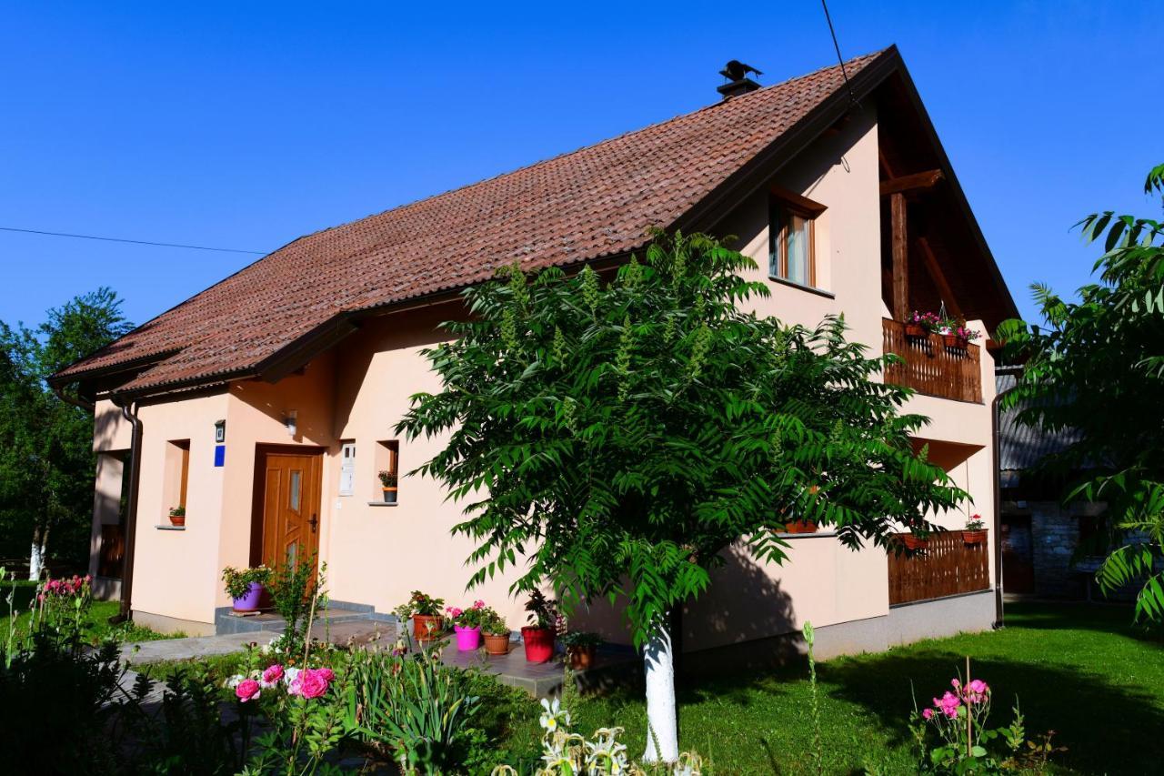 Apartman Jelena Rakovica Extérieur photo